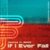 If I Ever Fall (feat. Brian) artwork