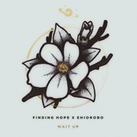 Wait Up (feat. Ehiorobo) - Single - Finding Hope