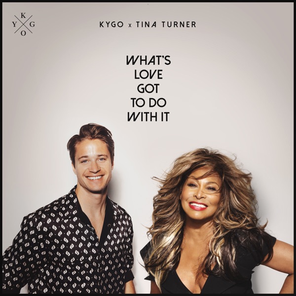 TINA TURNER WHAT'S LOVE GOT TO DO WITH IT