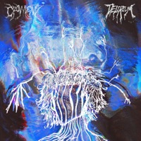 Delirium - Single - Crowvenn