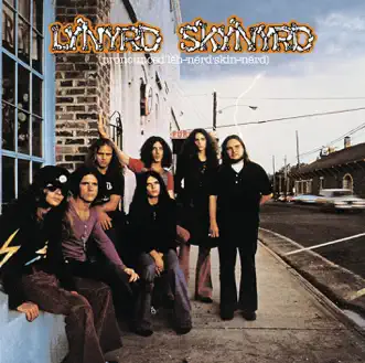 I Ain't The One by Lynyrd Skynyrd song reviws