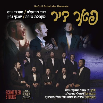 Far Dir (feat. Mendy Weiss, The Shira Choir & Yanky Green) - Single