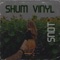 Snot - SHUM VINYL lyrics