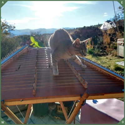 Finn's Five (feat. Simon Chrisman & Jenika Smith) - Single