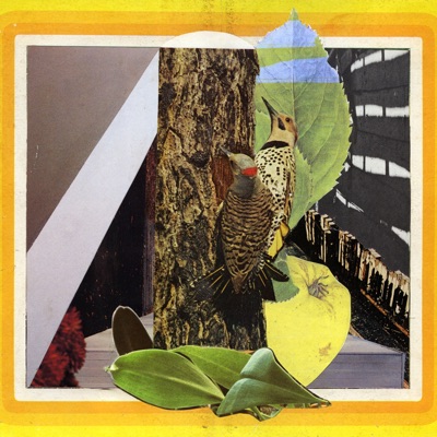 Close Enough To Hear the Flutter (feat. Ambient Endeavors, We Dream of Eden & Patrick Spatz) - Single