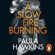 Paula Hawkins - A Slow Fire Burning