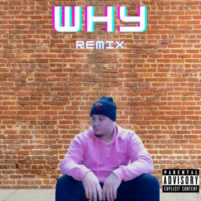 Why (Remix) [Remix] - Single
