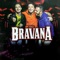 Vou Te Convencer (feat. Marcos E Belutti) - Trio Bravana lyrics