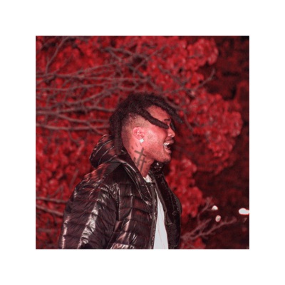 Beatbox Freestyle (beatbox remix) [beatbox remix] - Single