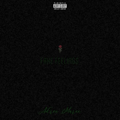 Fake Feelings - Single