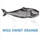 Tilt (Acoustic) - Wild Sweet Orange lyrics