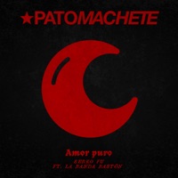 Amor Puro (feat. La Banda Baston) - Single - Pato Machete & Serko Fu