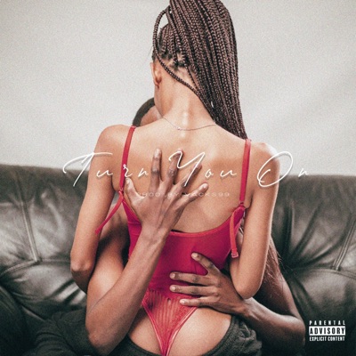 Turn You On (feat. Dintleonthetrack & Vacks99) - Single