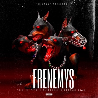 Frenemys (feat. Fulo El Yeyo & El Dokuas) - Single