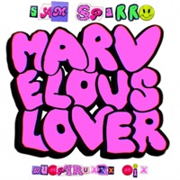 Marvelous Lover (Dumptruxxx Remix) - Single - Sam Sparro