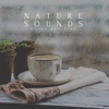 Nature Sounds Rainy Day Vibe - Single