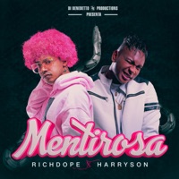 Mentirosa - Single - Richdope & Harryson