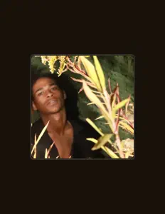 DXKXXRを聴いたり、ミュージックビデオを鑑賞したり、経歴やツアー日程などを確認したりしましょう！