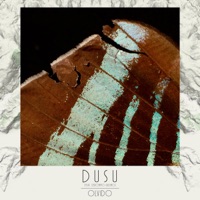 Olvido (feat. Gerónimo Gudino) - Single - DUSU