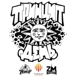 Аспект Princip