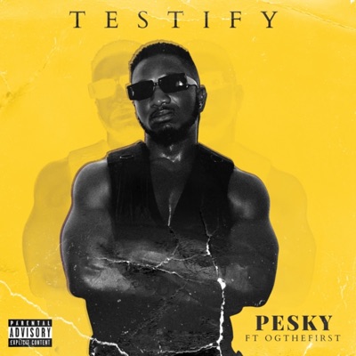 Testify (feat. Ogthefirst) - Single