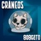 Aeolis Paulus - 808gato lyrics