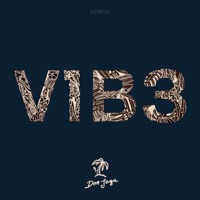 V1B3 - EP - Don Jaga