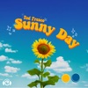 Sunny Day - Single