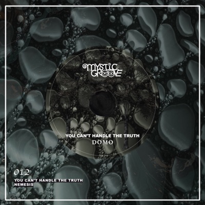 You Can't Handle the Truth - Single