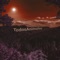 Cuarentena - TodosAnimales lyrics