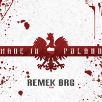 Made In Poland - Remek BRG