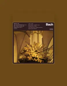 Neues Bachisches Collegium Musicum Leipzig을(를) 듣고, 뮤직 비디오를 보고, 약력을 읽고, 투어 일정 등을 확인하세요!
