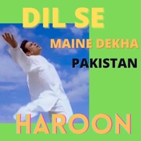 Dil Se Pakistan - Single - Haroon