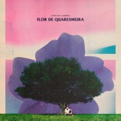 Flor de Quaresmeira artwork
