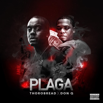 Plaga (feat. Don Q) - Single