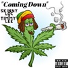 Coming Down (feat. Timmy Lee) - Single