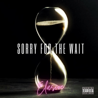 Sorry For the Wait - Single