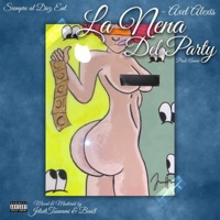 La Nena Del Party - Single - Axel Alexis