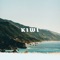 Kiwi - Seb Zillner & Lazlow lyrics