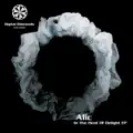 In The Heat Of Delight (Point Remix)