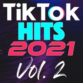 TikTok Hits 2021, Vol. 2 artwork
