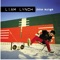 Fake Depeche Mode Song - Liam Lynch lyrics