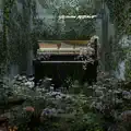Alice's Wonderland