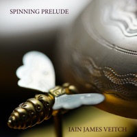 Spinning Prelude - Single - Iain James Veitch