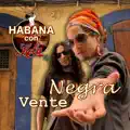 Razón y Sentimiento