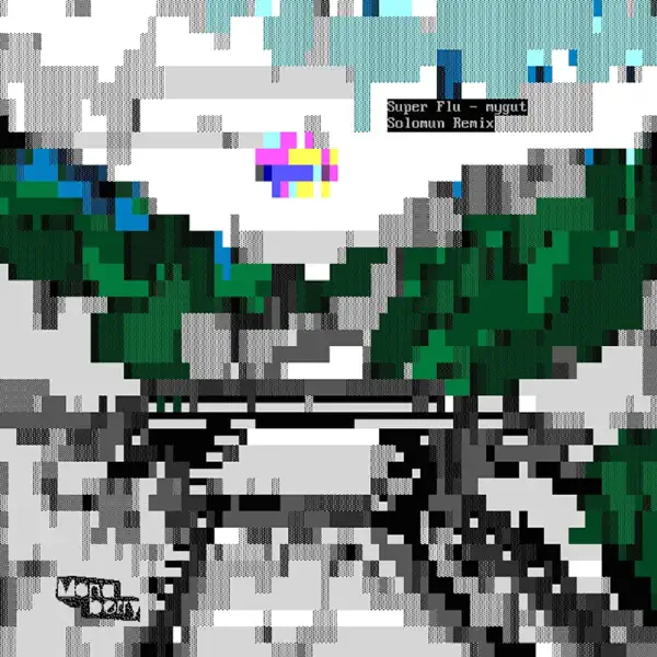 mygut (Solomun Remix) — Super Flu