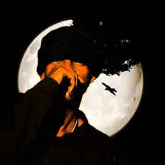 SLIMSUNを聴いたり、ミュージックビデオを鑑賞したり、経歴やツアー日程などを確認したりしましょう！