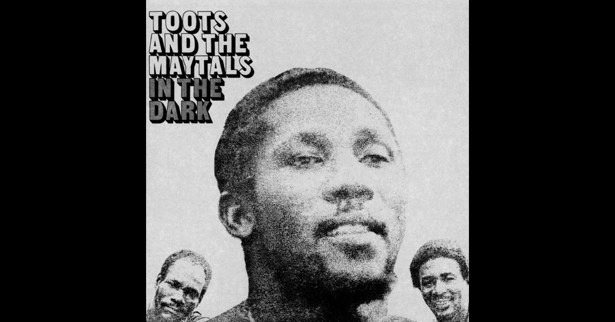 洋楽 Toots and Maytals In the Dark TRLS 202 Toots And The Maytals – In The Dark – Vinyl (LP, Album