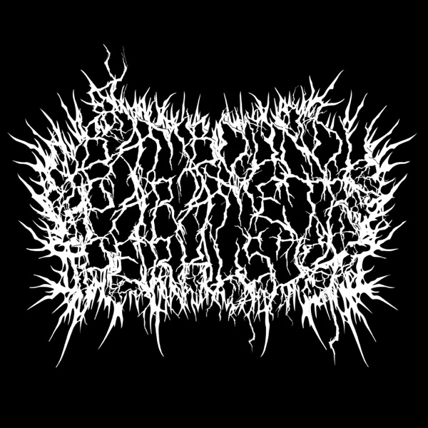 Parametr Perkusja - Single