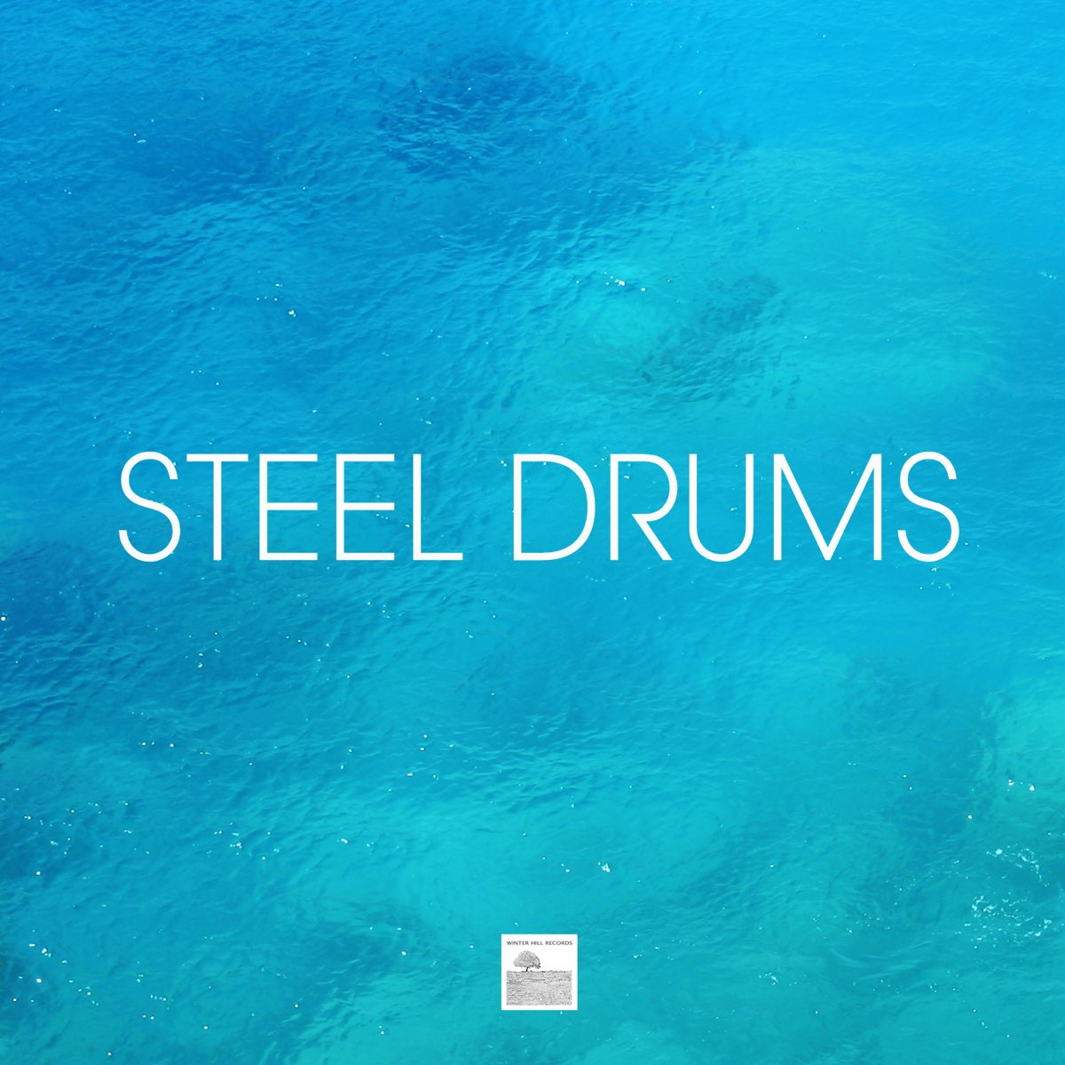 Steel Drums - Caribbean Steel Drum Music, Steelpan and Caribbean Drums  Dance Party by Steel Drums Music Crew on Apple Music